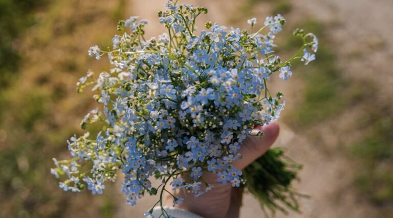 The symbolism of Flowers in Different cultures