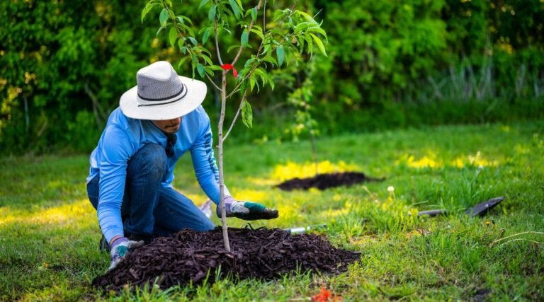 Community Tree Planting Initiatives