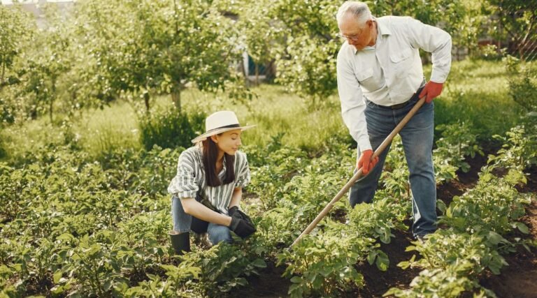 Tree Species Diversity: Exploring the Benefits of Planting Trees