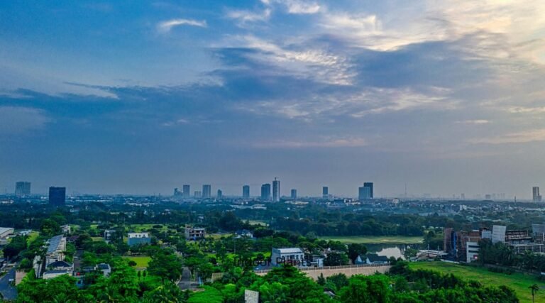 The Future of Vertical Forests: Urbanization and Climate Change