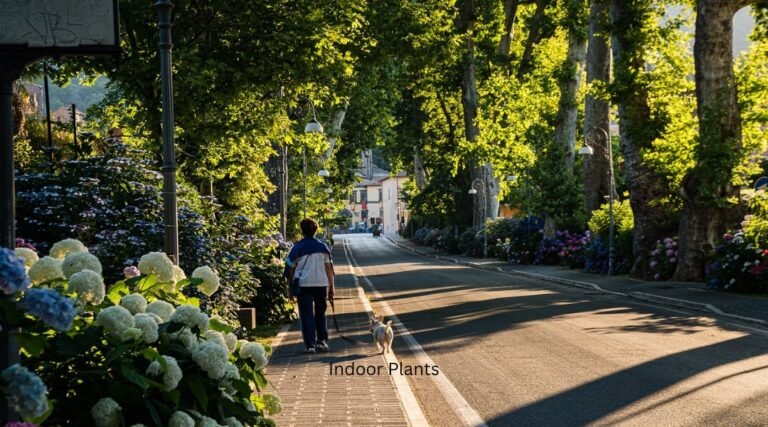 Biophilic Cities: Designing Urban Spaces to Enhance Nature